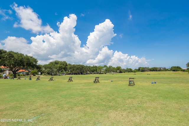 view of community with a lawn