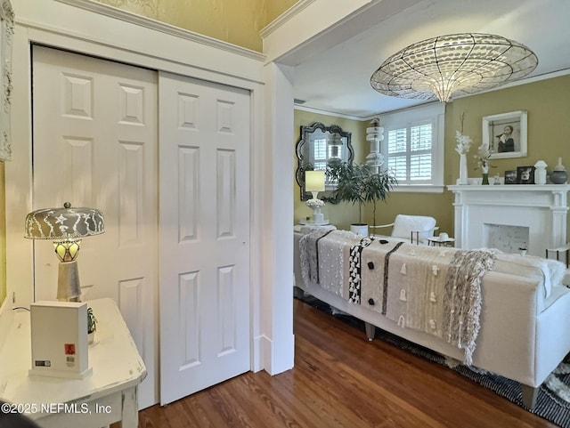 bedroom featuring dark wood-type flooring, ornamental molding, and a closet