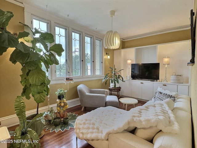 living room with ornamental molding, a healthy amount of sunlight, and hardwood / wood-style floors