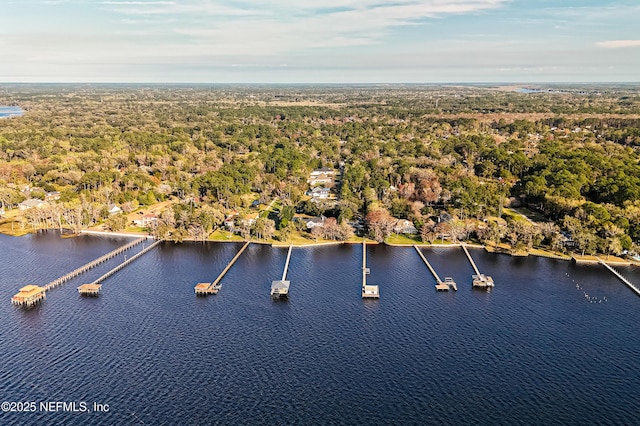 1351 Weaver Glen Rd, Jacksonville, FL 32223 - drone / aerial view with a water view and a forest view