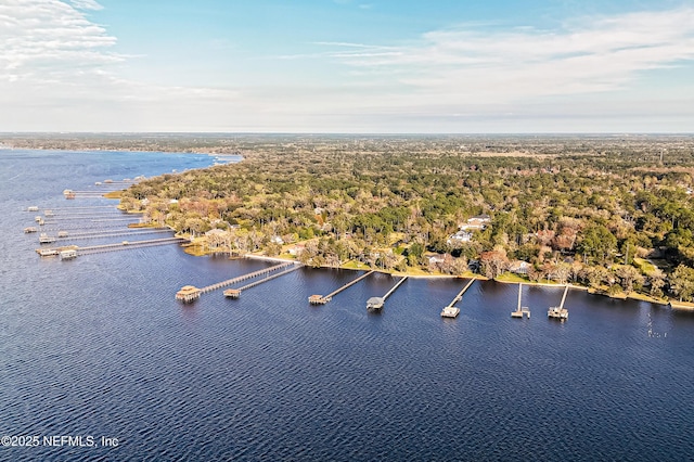 1351 Weaver Glen Rd, Jacksonville, FL 32223 - aerial view with a water view and a view of trees