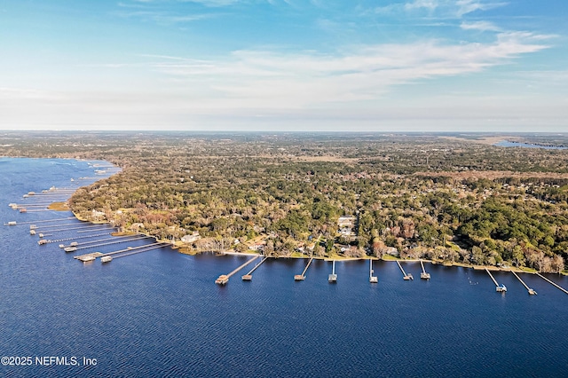 1351 Weaver Glen Rd, Jacksonville, FL 32223 - birds eye view of property featuring a water view and a view of trees