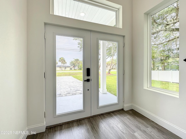 doorway with wood-type flooring and french doors