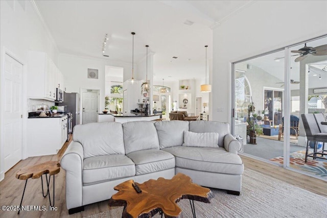 living room with ceiling fan, ornamental molding, light hardwood / wood-style floors, and a high ceiling