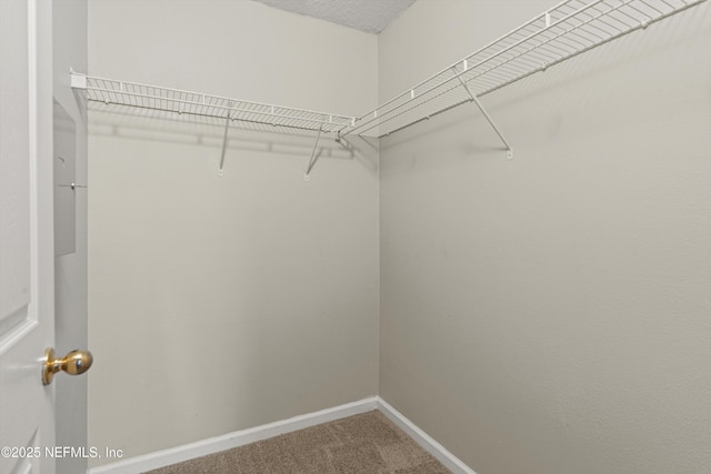 7043 Deer Lodge Cir Unit 110, Jacksonville, FL 32256 - photo 20