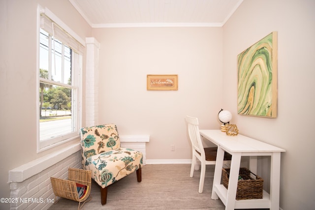 home office featuring carpet floors, baseboards, and ornamental molding