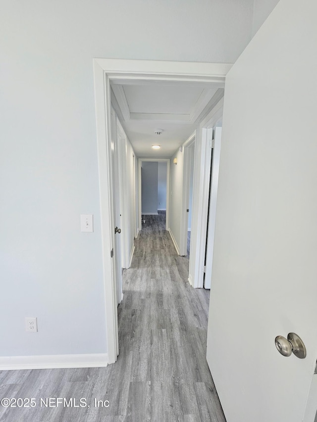 2434 Leonid Rd, Jacksonville, FL 32218 - hallway with light hardwood / wood-style floors