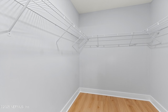 spacious closet featuring hardwood / wood-style floors