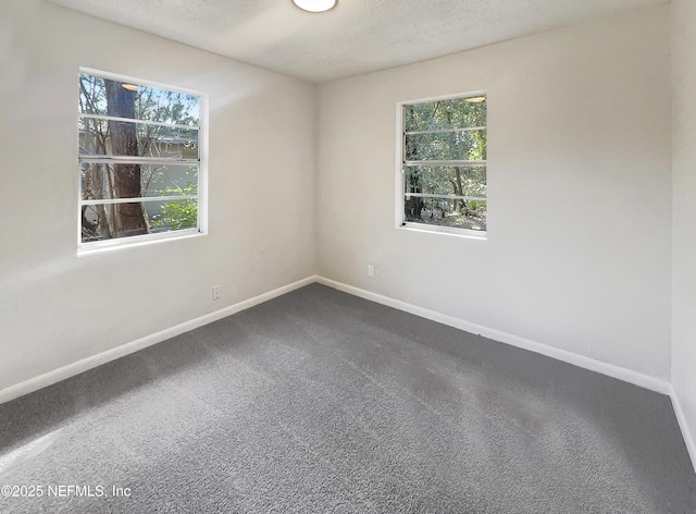 carpeted spare room with plenty of natural light and a textured ceiling