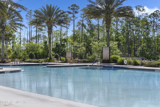 view of swimming pool