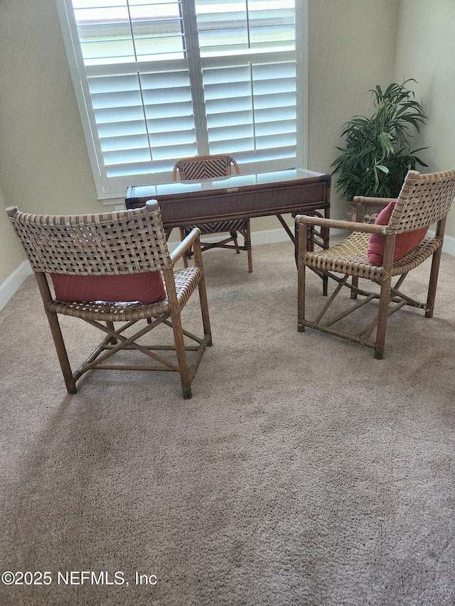 780 Wandering Woods Way, Ponte Vedra, FL 32081 - office featuring light carpet and baseboards