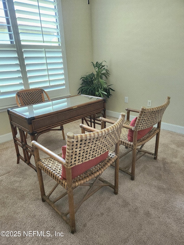 780 Wandering Woods Way, Ponte Vedra, FL 32081 - office featuring light carpet and baseboards