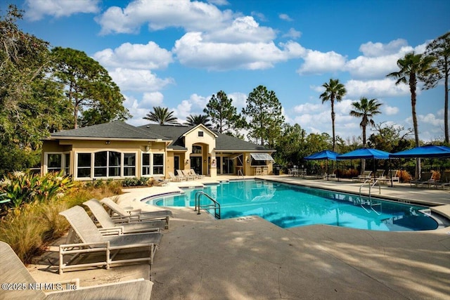 view of pool with a patio area