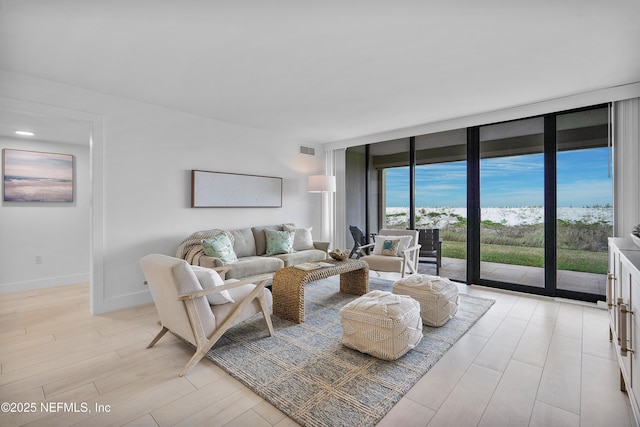 living room featuring expansive windows and light hardwood / wood-style flooring