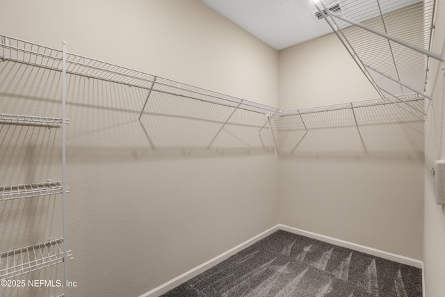 walk in closet featuring dark colored carpet