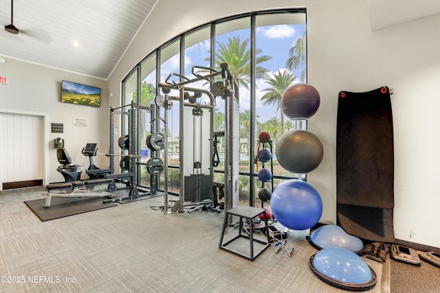 gym with high vaulted ceiling and carpet