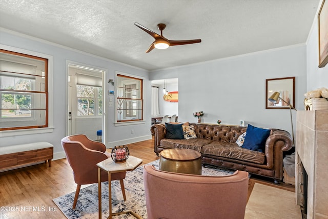 living room featuring crown molding, ceiling fan, a textured ceiling, and light wood-type flooring