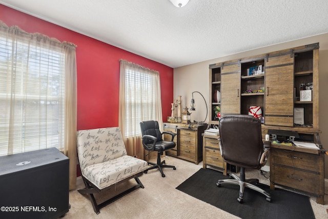 office area featuring a textured ceiling and light colored carpet