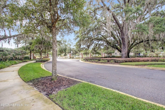 view of street featuring curbs