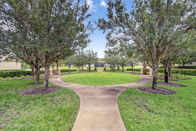 view of community featuring a yard