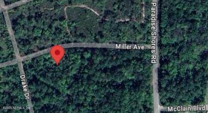 115 Miller Ave, Crescent City FL, 32112 land for sale