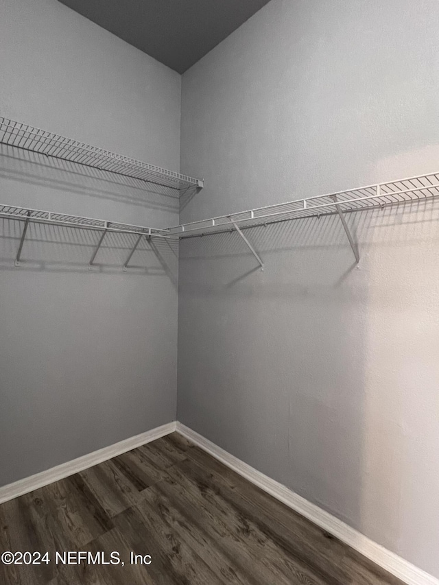 walk in closet with dark wood-type flooring