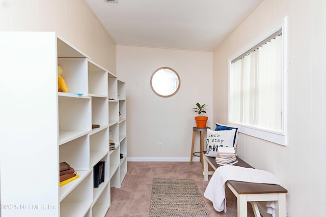 sitting room with light carpet