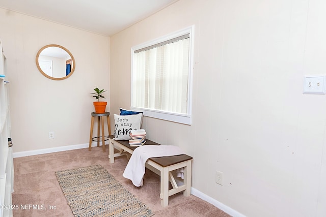 sitting room with light carpet