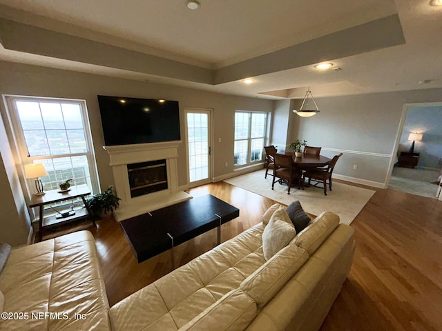 living room featuring ornamental molding, a tray ceiling, and hardwood / wood-style floors