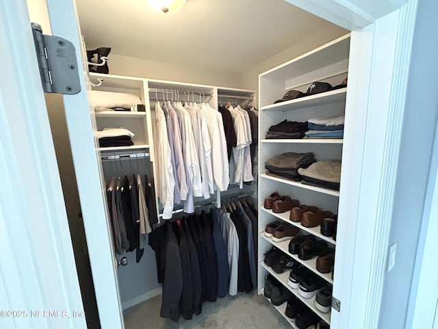 view of spacious closet