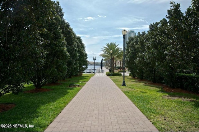 view of community with a lawn