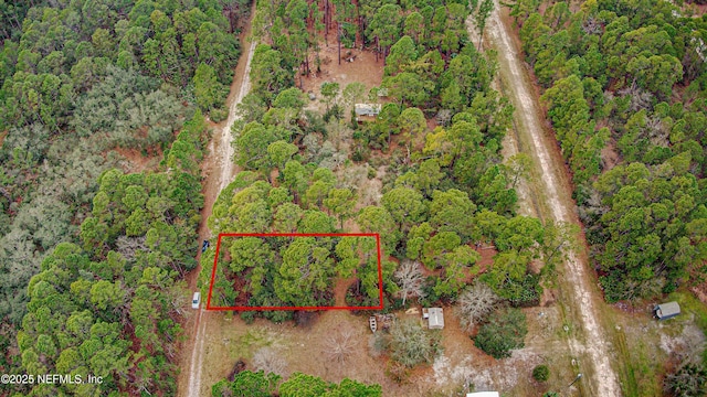 122 Gardenia Ave, Georgetown FL, 32139 land for sale