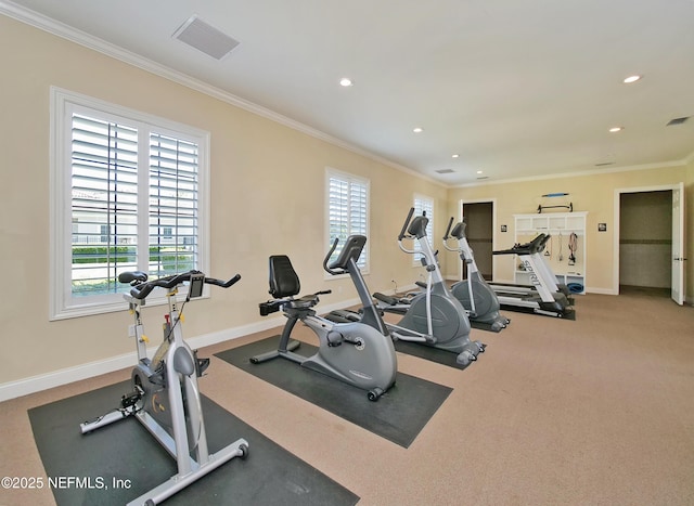 workout area with crown molding and a healthy amount of sunlight