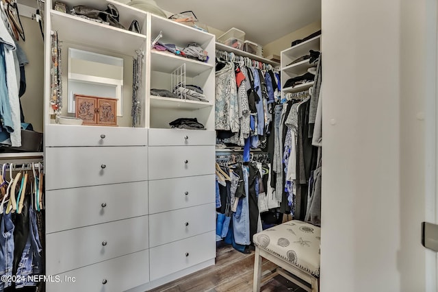 spacious closet featuring wood-type flooring