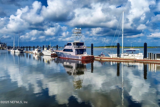 view of dock with a water view