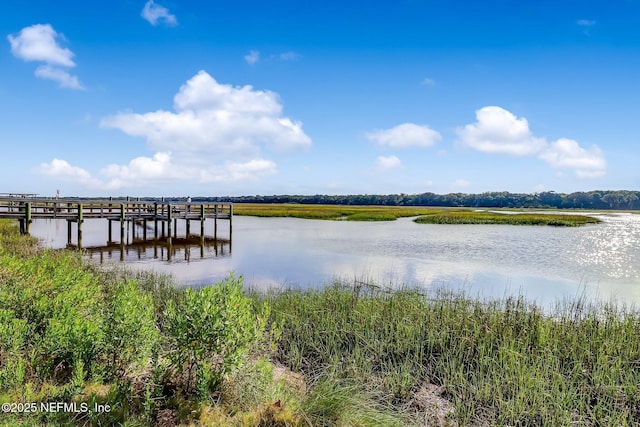 view of dock with a water view