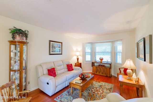 living room featuring hardwood / wood-style flooring