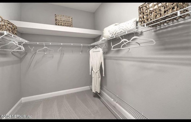 walk in closet with carpet floors