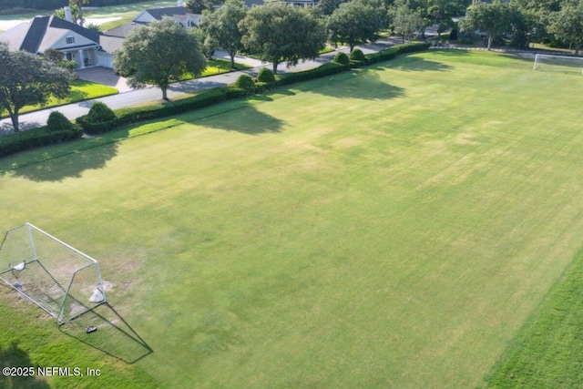bird's eye view