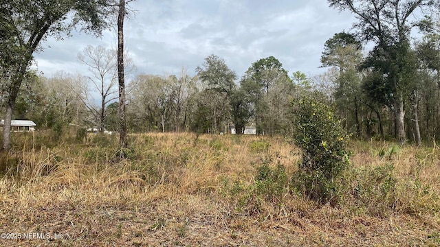 4730 Wendy St, Hastings FL, 32145 land for sale