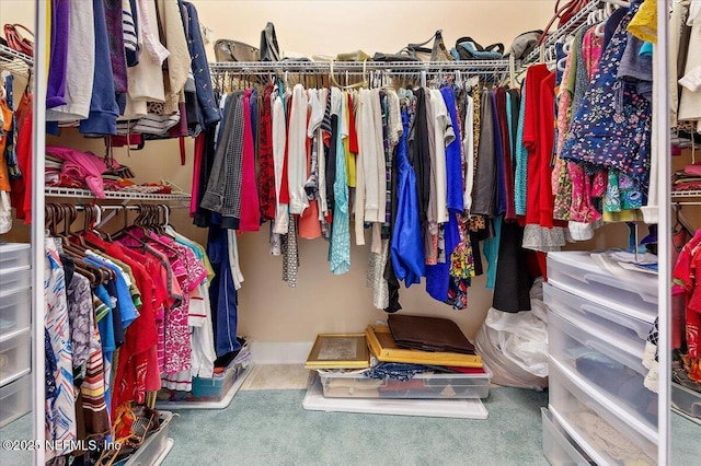 walk in closet with carpet