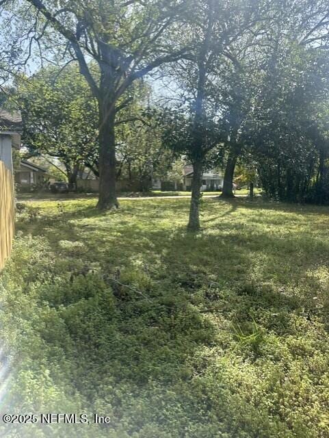 4833 Royal Ave, Jacksonville, FL 32205 - photo 6
