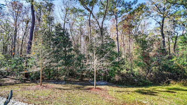 view of yard featuring a wooded view