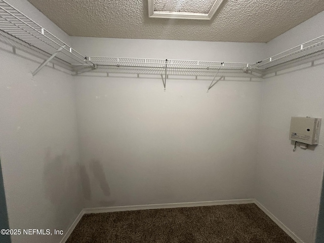 8226 Lake Woodbourne Dr E, Jacksonville, FL 32217 - photo 17