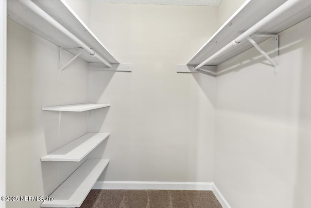 spacious closet with dark colored carpet