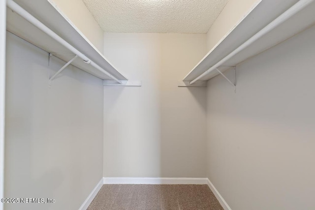 spacious closet with carpet floors