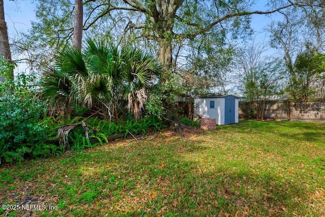 view of yard featuring a storage unit