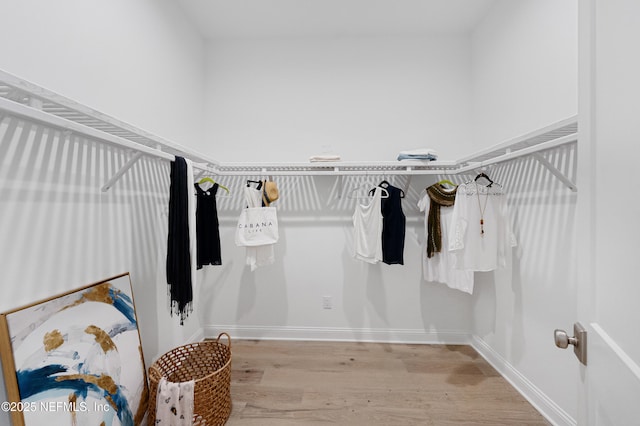 walk in closet with light wood-type flooring