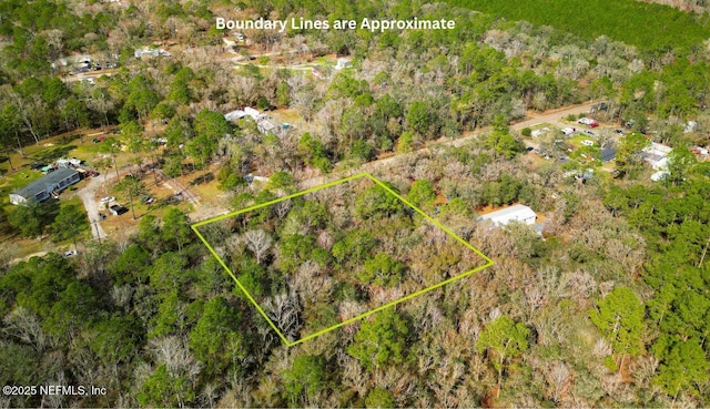 10040 Yeager Ave, Hastings FL, 32145 land for sale