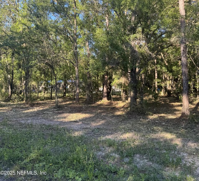10040 Yeager Ave, Hastings, FL 32145